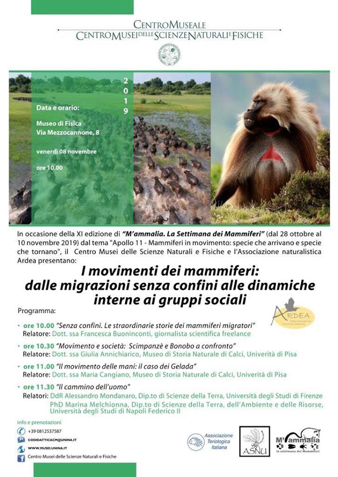 Locandina dell'evento con i dettagli già scritti nell'articolo