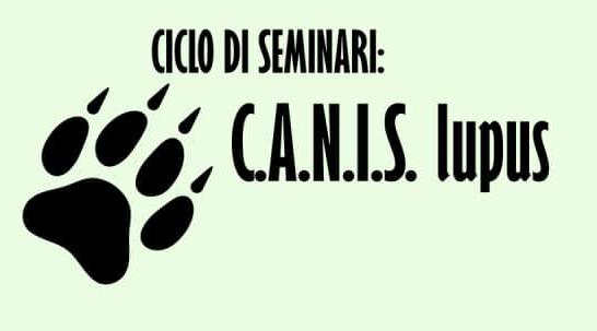 CANIS lupus