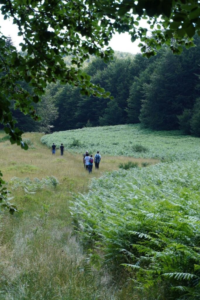 Uscita SAJE alla Piana di Campo Maggiore, Parco Regionale del Partenio (foto 6)
