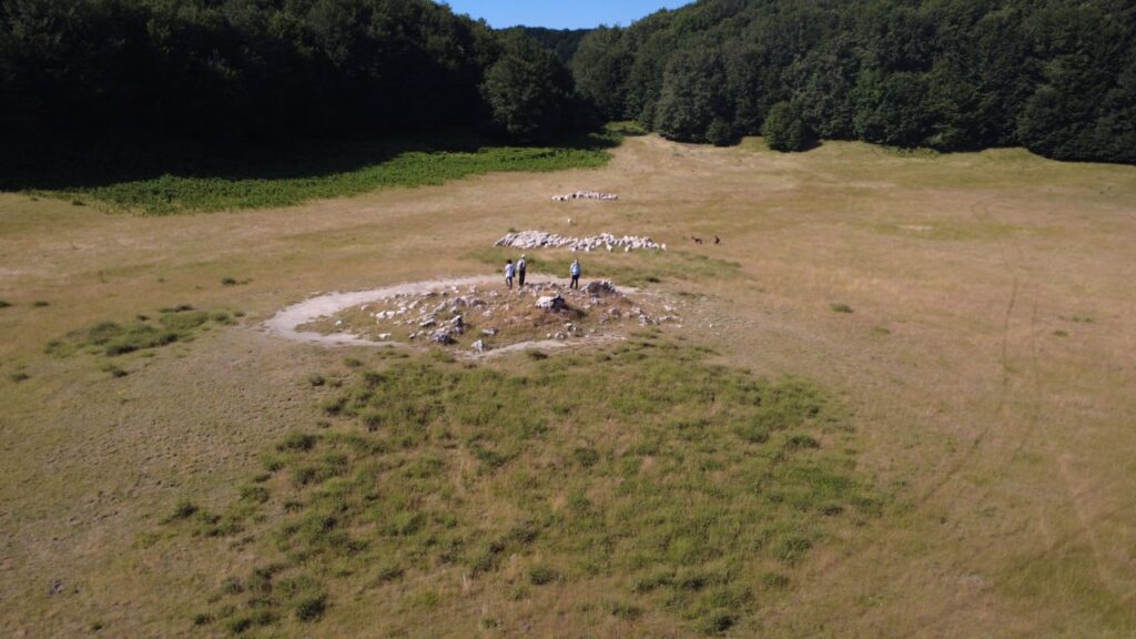 Uscita SAJE alla Piana di Campo Maggiore, Parco Regionale del Partenio (foto 5)