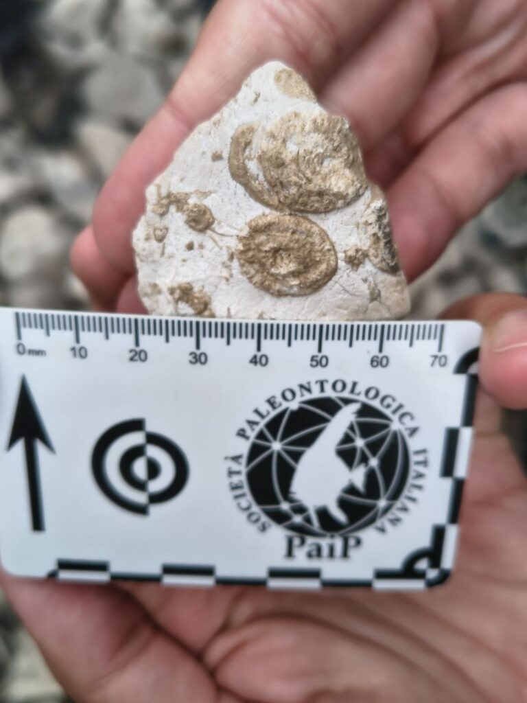 Uscita SAJE sul Monte Miletto, Parco Nazionale del Matese (foto 4)