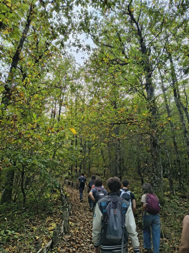Uscita SAJE a Roccamonfina (foto 2)